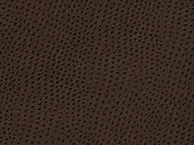 Ecoskin Mahogany Ostrich