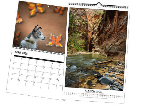 Order Press Printed Photo Calendars Online