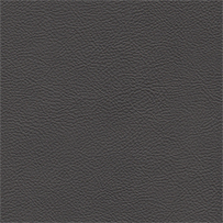 Ecoskin Dark Gray