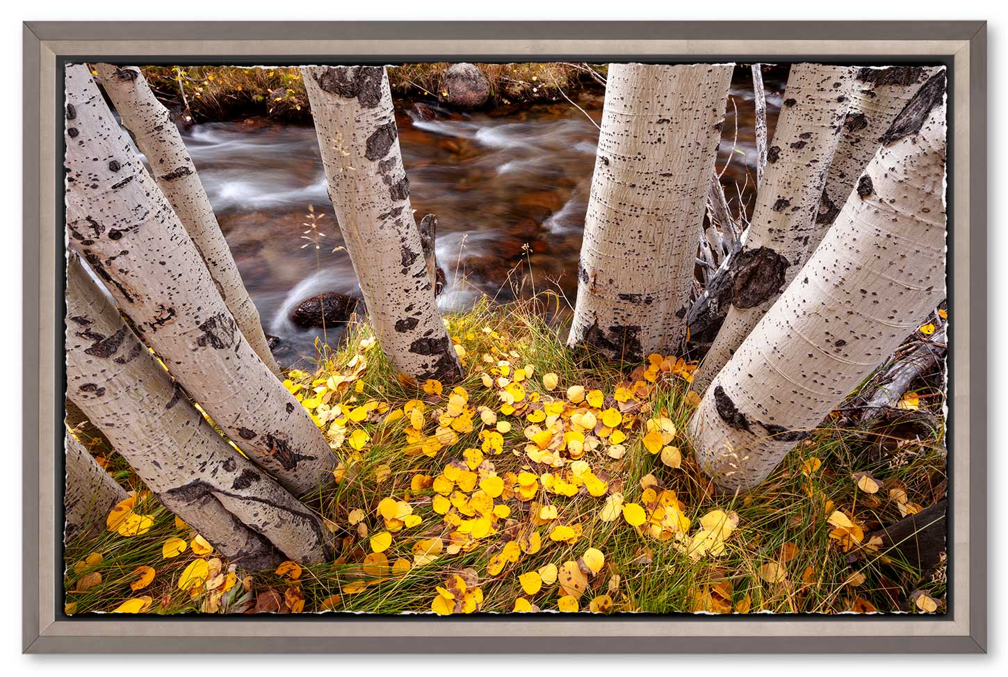 Framed deckled edge fine art inkjet print