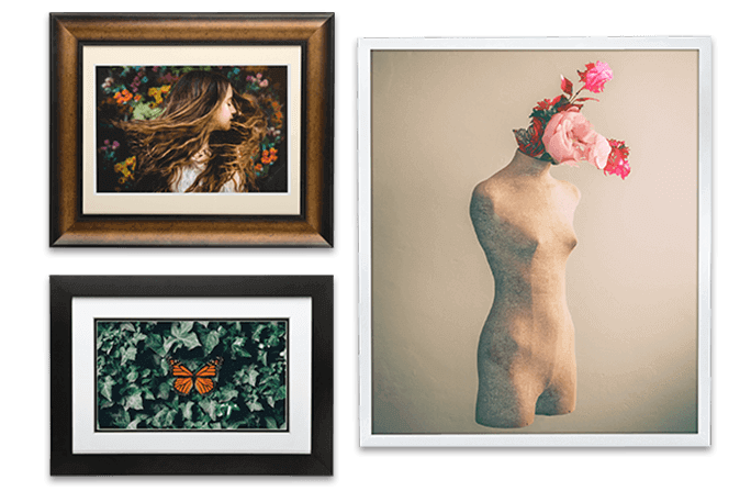 Framed Fine Art Prints