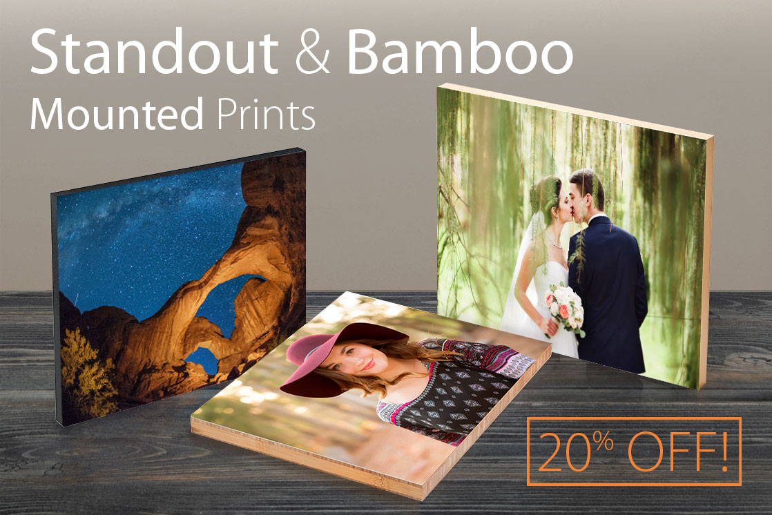20% Off% Off Standout & Bamboo Mounted Prints!