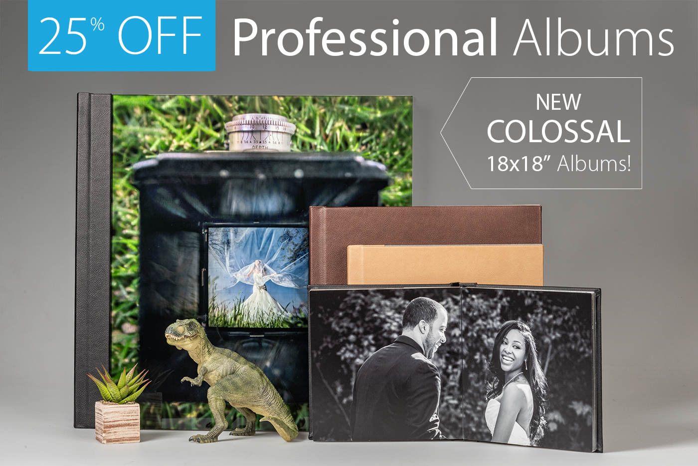 25% Off% Off ALL Albums!